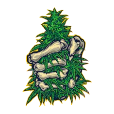 image 18-PhotoRoom (1) 6