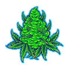 image 19-PhotoRoom (1) 9